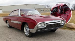 The only existing example of the Ford Thunderbird Italien will be put up for auction (25 photos + 1 video)