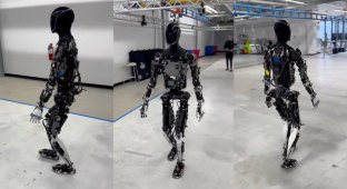 Elon Musk walked with a new robot around the Tesla plant (6 photos + 2 videos)