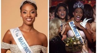 Во Франции победительницей красоты стала чернокожая 34-летняя уроженка Мартиники (11 фото + 3 видео)