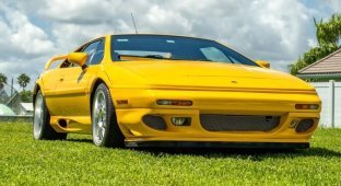 Yellow Lotus Esprit V8 Last Edition 2003 sold for an impressive amount (28 photos)