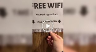 Пароль для любителей бесплатного Wi-Fi