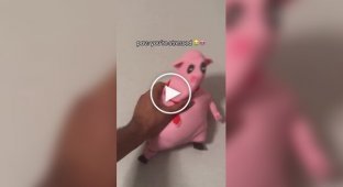 Забавная игрушка для снятия стресса