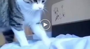 Natasha, get up