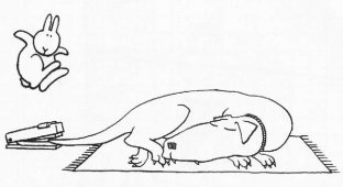 Бедный зайчик