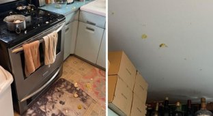 Amateur cooks showed their mistakes (36 photos)