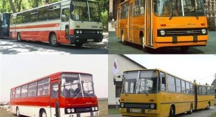 IKARUS buses - an excursion into the past (53 photos)