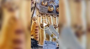 A Japanese bakery where all the baked goods are dedicated to cats