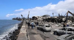 Пожары на Гавайях: число погибших на Мауи продолжает расти, жители ругают власти за бездействие (5 фото)