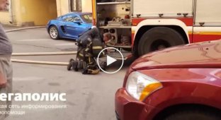 Спасли кота-погорельца