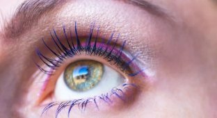 Вчені відкрили новий колір, який людство раніше не бачило (3 фото)