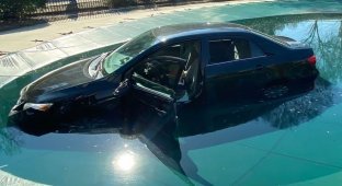 Женщина "припарковалась" в бассейне (4 фото + 1 видео)