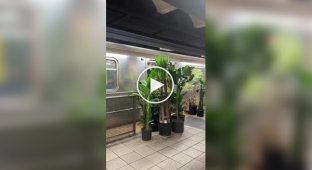 Великий переїзд у садівника