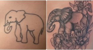 14 people who updated their tattoos, breathing new life into them (15 photos)