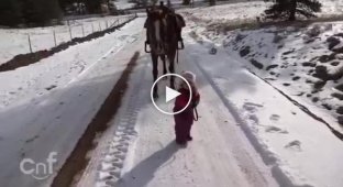 Маленькая девочка Эмма выгуливает лошадь