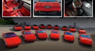 A unique collection of 15 fourth-generation red Corvettes is up for sale (19 photos)