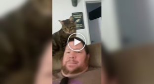 Man didn't pet his cat and was punished