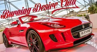Российская премьера спорт-купе Jaguar F-Type (29 фото)