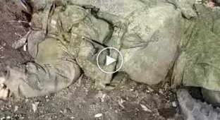Подборка видео с пленными и убитыми в Украине. Выпуск 23