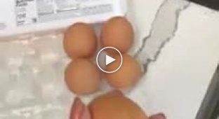 Забавная шутка над подругой, с живым птенцом в яйце
