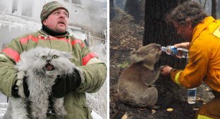 20 фотографий смелых пожарных, спасающих животных из огня (21 фото)