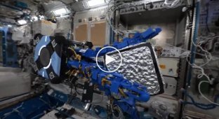 Робот-осьминог для расчистки орбиты от мусора