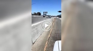 Водій не зміг зупинити свій автомобіль і почав молитися