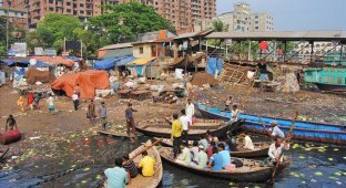 Дакка хроники социальной помойки или как пережить 5 дней в ужасном мегаполисе (39 фото)