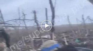 Ukrainian soldiers evacuate a wounded comrade from Andreevka near Bakhmut