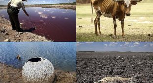 Страшная засуха в Техасе: фанатики ждут конца света‎ (11 фото)