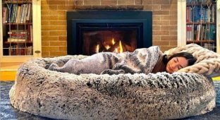 Стартаперы из Канады придумали огромную собачью лежанку для людей (5 фото)
