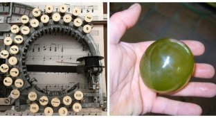 12 photos of incredible things, creatures and phenomena (13 photos)