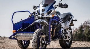 Внедорожный мотоцикл Suzuki с коляской (9 фото)
