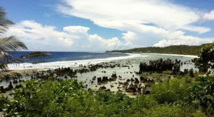 Богатейшее островное государство обанкротилось после импорта Lamborghini и Ferrari (5 фото)