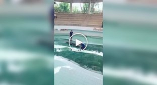 Так без руки можно было остаться