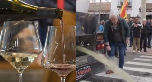 В ходе разборок между виноделами 25 тысяч литров вина вылили на дорогу (1 фото + 3 видео)