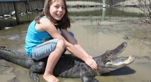 9-летняя девочка, работающая с крокодилами (7 фото)