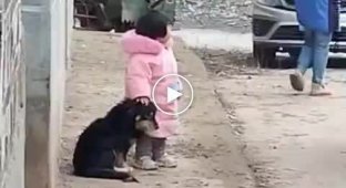 Маленькая девочка закрыла уши собаке, которую напугали фейерверки