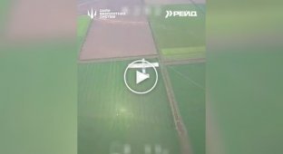 Силы беспилотных систем атаковали вражеские дроны: Молния-2, Zala Z-16, Supercam S350, Орлан-10