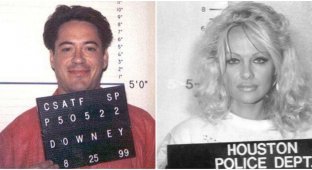 Photos of Hollywood stars from the police stations (15 photos)