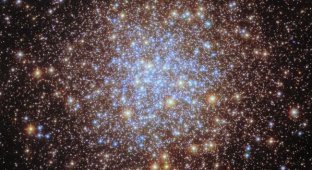 Более 100 000 древних звезд в одном кадре: невероятные детали шарового скопления M 72 (11 фото)
