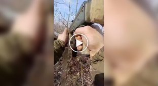 Border guards take a Russian prisoner