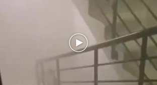 В Люберцах подъезд жилого дома затопило кипятком с 11 по 1 этаж