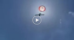 Parachute saves the pilot