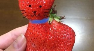 В Японии съели клубнику-кошечку (33 фото)