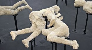 Жертв Помпей заподозрили в однополой любви (4 фото + 1 видео)