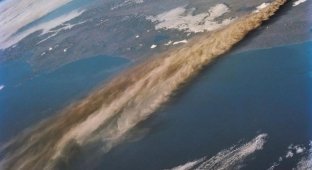 Volcanic eruption: NASA presented images from space (7 photos)