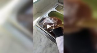 Кулинарный кошмар