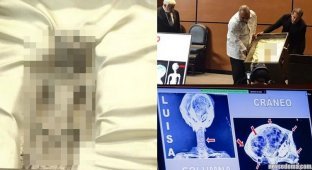 "They are real!": scientists said that humanoids from Peru are not fake (3 photos + 2 videos)