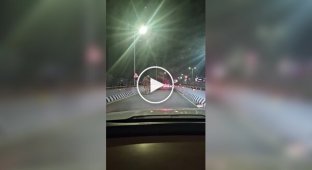 Чоловік, що випив, вирішив покататися верхом на верблюді