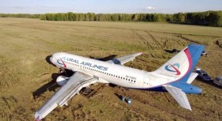 Ural Airlines reported that an Airbus plane that had landed in a field was being prepared for takeoff (3 photos + 1 video)